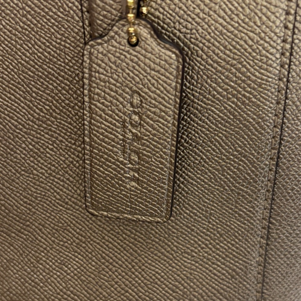 Coach Metallic Platinum Gold Leather Mini Christie Carryall - Picture 9 of 9